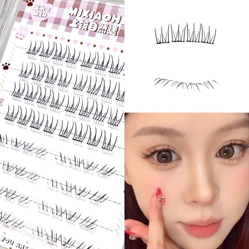 Individual Lash Tray - Mixiaohe Ciglia Finte Superiori Trasparenti Effetto