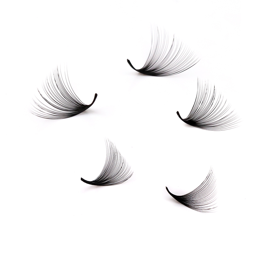 Lashprofessor XL Tray 3D 4D 5D - Mega Volume Lash recensione e prezzo