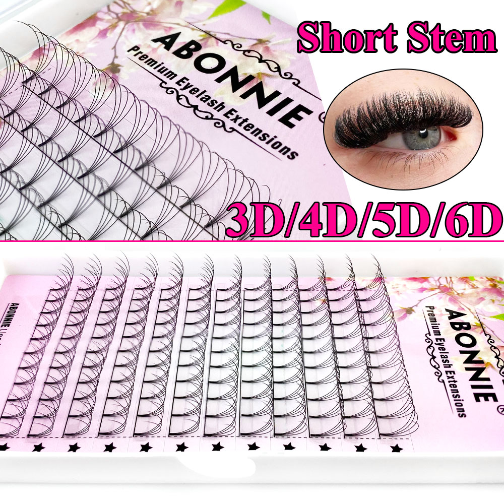 Abonnie 6D Narrow Fan Premade  - Eyelash Extension Remover At Home recensione e prezzo